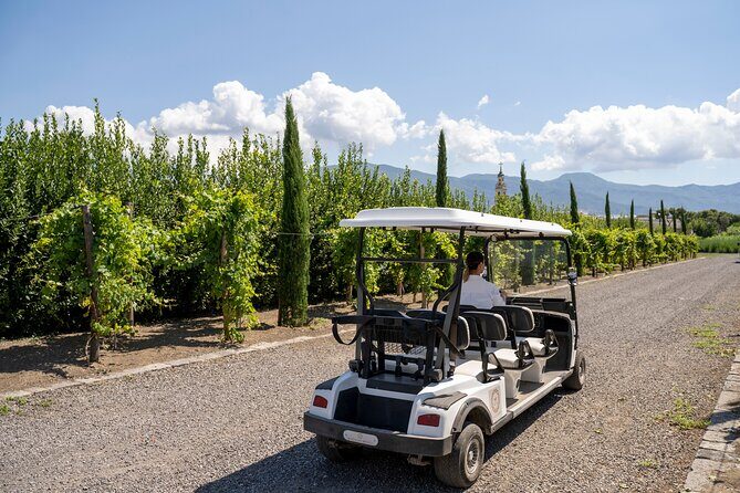 Private Pompeii Tour with Organic Wine Tasting & Lunch - Practical tips for a smoother day in Pompeii heat