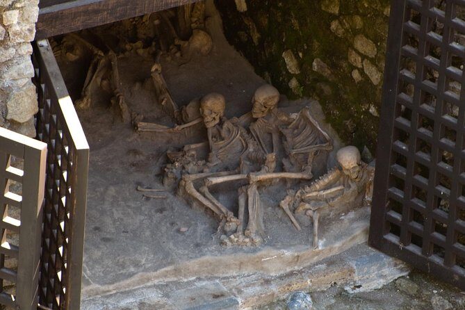 Private Tour: Day Trip Excursion to Herculaneum, Positano and Sorrento - Key highlights that make this day trip work