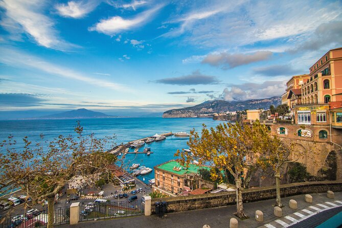 Private Tour in Pompeii Sorrento and Positano - The Practical Stuff to Do Before You Go