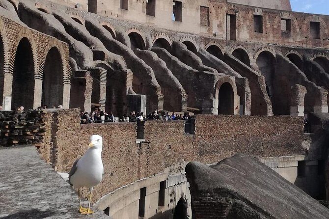 Private tour of Colosseo - Meeting at Piazza del Colosseo (With a Caffè Start)