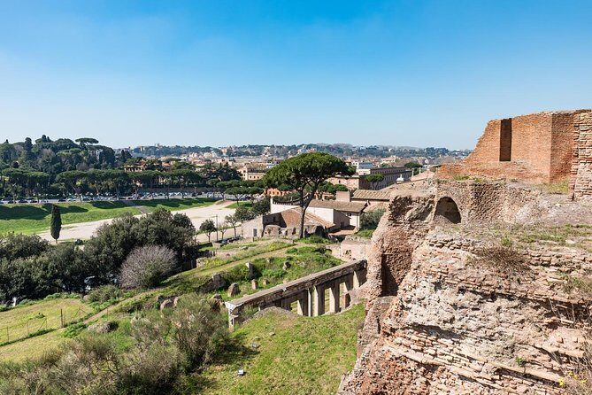 Private Tour of the Colosseum with Roman Forum & Palatine Hill - Meeting at Largo Corrado Ricci and ending back at the Colosseum
