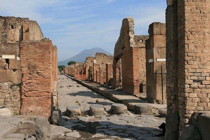 Private Tour: Pompeii and Positano Day Trip from Rome - Who should book this private day trip, and who should skip