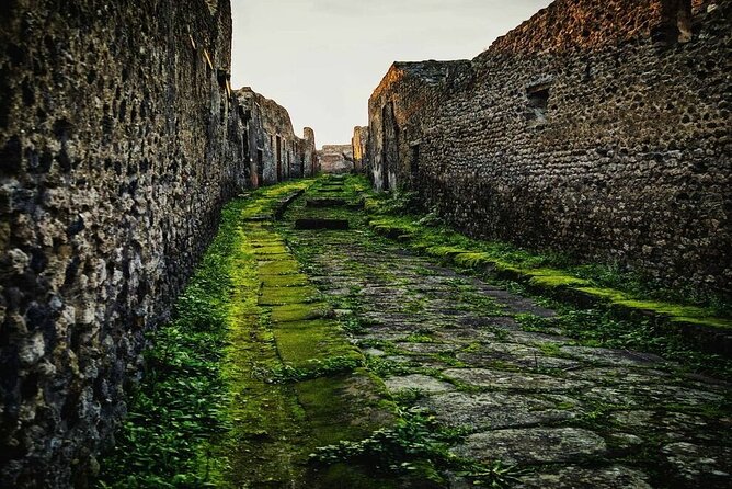 Private Tour Pompeii and Sorrento from Naples - Raffaele Izzo and the Value of Private, English-Speaking Direction