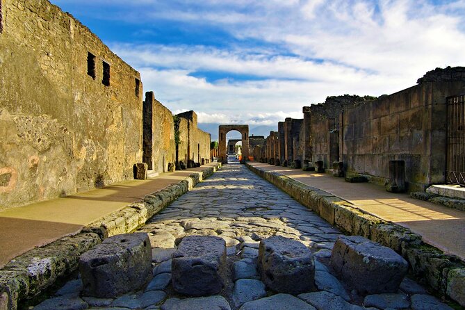 Private Tour: Pompeii and Sorrento from Rome - Who this Pompeii and Sorrento private day trip is best for