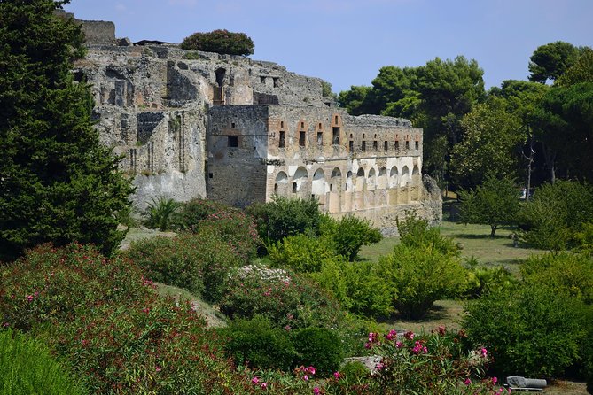 Private Tour: Pompeii Half-Day Trip from Naples - Stumbling stones and black basalt streets: walking Pompeii like locals