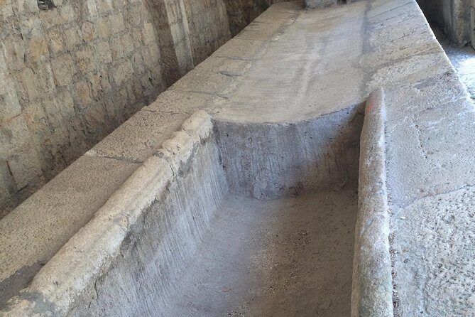 Private Tour Pompeii Herculaneum Vesuvius - Pompeii and Herculaneum, without the time-sink stress