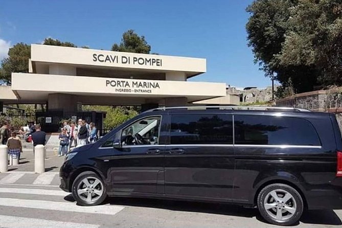 Private Tour: Pompeii Ruins from Rome in a Day - Who This Private Pompeii Tour Is Best For