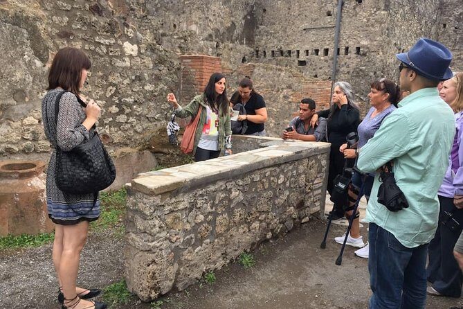 Private Tour: Pompeii & Wine Tasting at the Slopes of Mt Vesuvius - Price and value for $564.33 per person (and a 7-hour day)