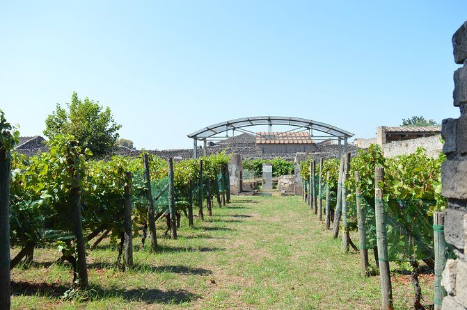 Private Tour: Pompeii & Wine Tasting at the Slopes of Mt Vesuvius - Who should book this Pompeii and wine combo