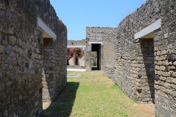 Private Tour Rome to Pompeii in private vehicle or fast train - Short Stops With Purpose: Casa dei Vettii, Casa del Menandro, Stabian Baths