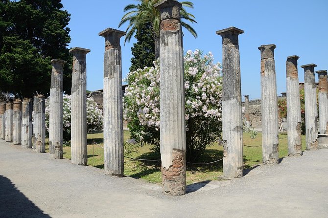 Private Tour Rome to Pompeii in private vehicle or fast train - Price Check: Does $684.18 Per Person Feel Worth It?