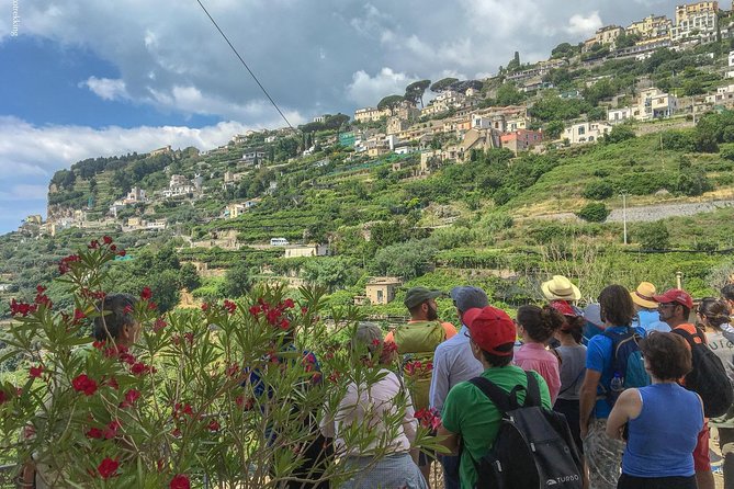 Private Tour: The Path of the Lemons - Pace, Steps, and Timing: What to Expect Day-of