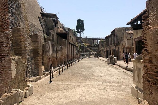 Private Tour to Pompei and Herculaneum: Skip-the-line Tickets - What Your Archaeological Guide Does (and Why It Makes the Day)