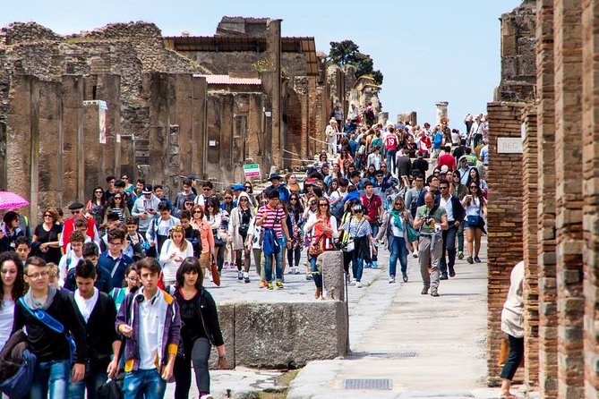 Private tour to Pompeii Herculaneum and Vesuvius - Pompeii Archaeological Park in Two Hours: Seeing a Whole City’s Ruins