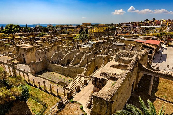 Private tour to Pompeii Herculaneum and Vesuvius - Comfort and Convenience: What This Private Setup Gives You