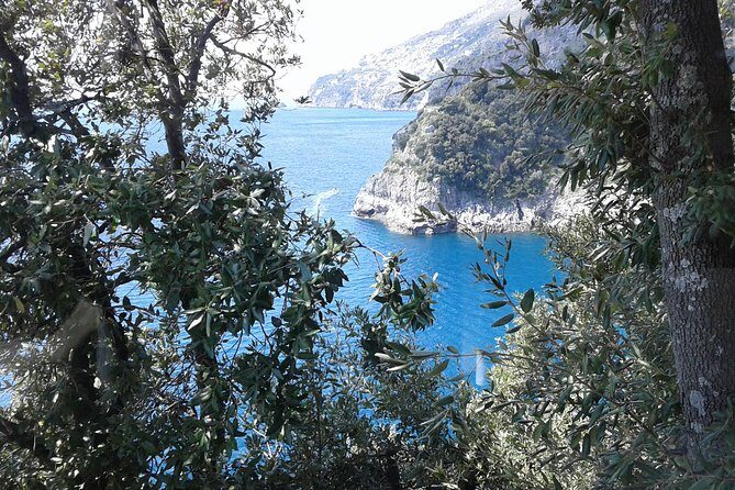 Private Transfer From Naples to Ravello/Sorrento stop at Pompeii - Naples–Ravello or Naples–Sorrento: Why This Combo Works