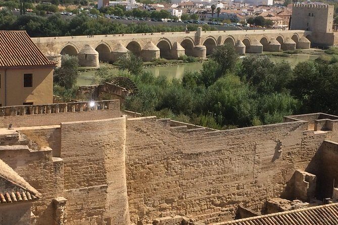 Private Visit Mosque-Cathedral, Jewish quarter, Alcazar and Synagogue - Cordoba Synagogue visit: a smaller stop with heavy meaning