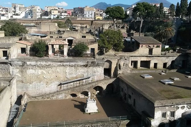 Private Walking Tour through the Historical City of Herculaneum - Casa dei Cervi: The Deer House and a View Worth Pausing For