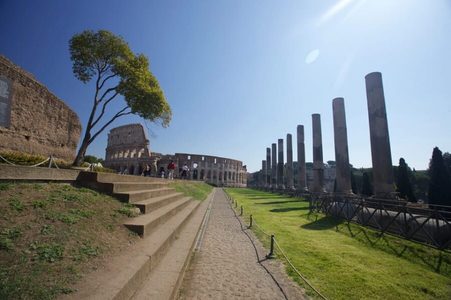 Rome: Arena Colosseum Tour with Arena Access - Price and Value: What You’re Actually Paying For