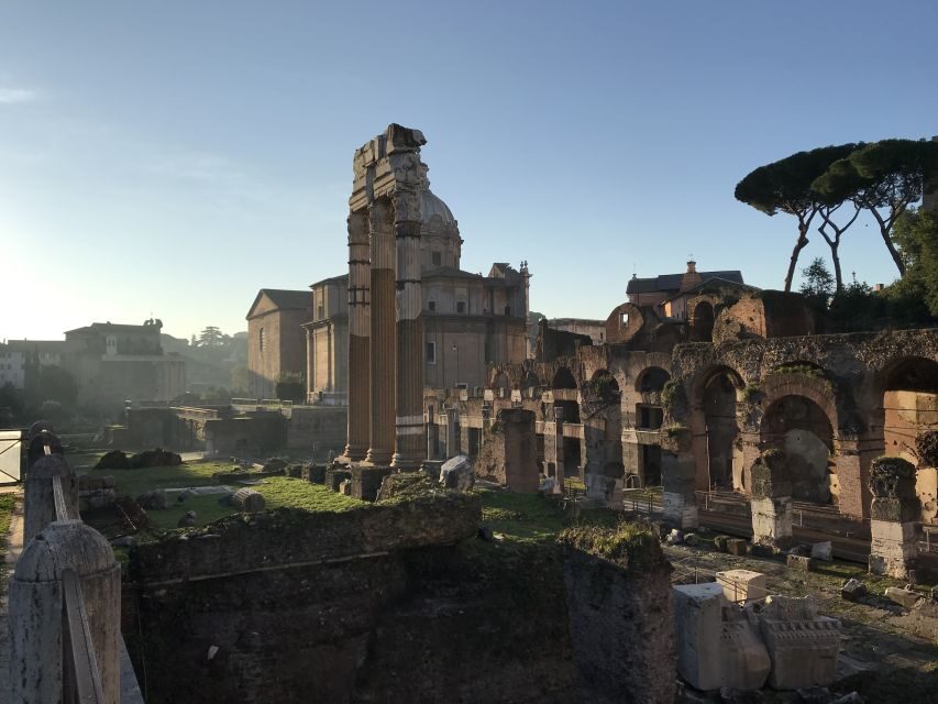 Rome: Colosseum, Forum, and Palatine Hill Guided Tour - Security and practical tips that keep the day smooth