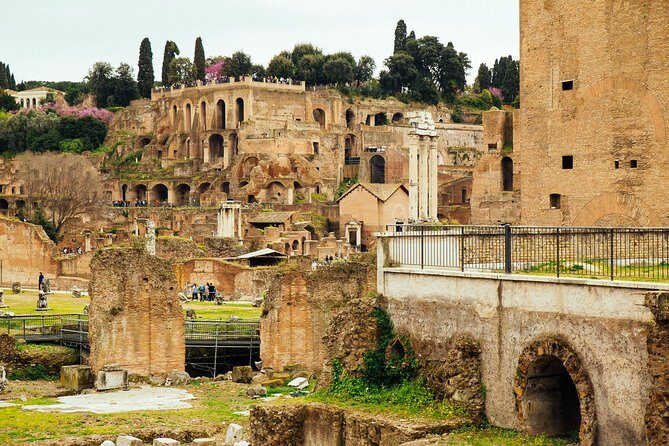 Rome Colosseum & Forum PRIVATE TOUR with a Local Private Guide - Palatine Hill First: The View That Puts Everything in Order