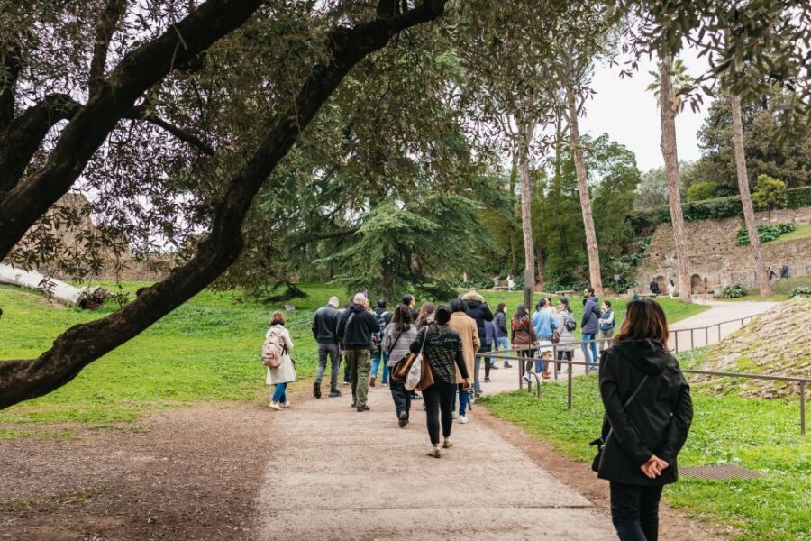 Rome: Colosseum, Palatine Hill & Roman Forum Guided Tour - Palatine Hill: Rome’s origin point plus actual viewpoints