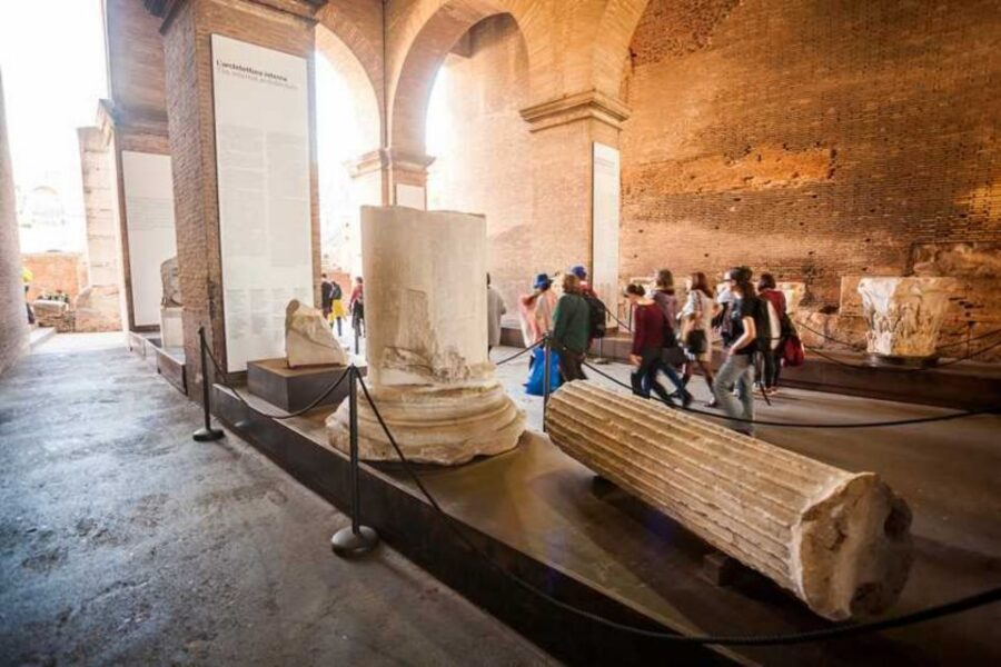 Rome: Colosseum, Palatine & Roman Forum Tour w/Entry Ticket - Entering the Colosseum: First Level, Gladiator Stories, and Real Seating Logic