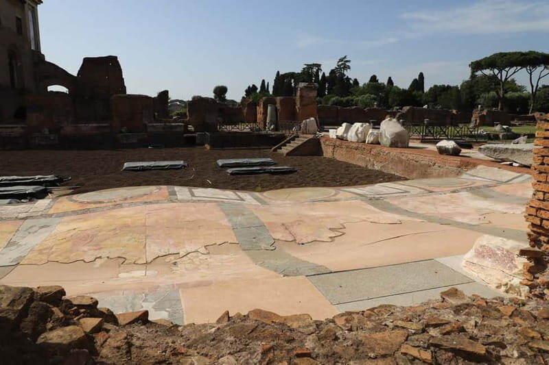 Rome: Colosseum & Roman Forum Guided Tour - Gladiators, tunnels, and the crowd’s vote: what your guide explains