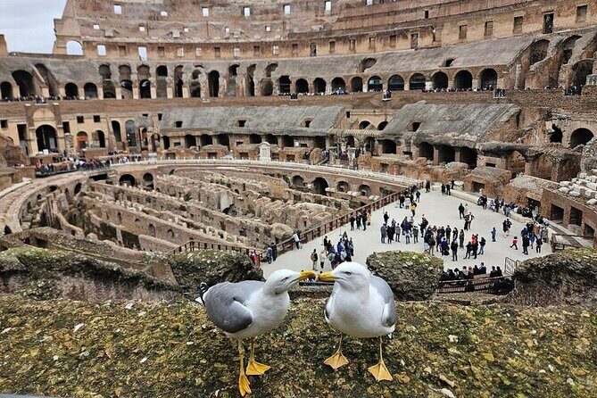 Rome: Colosseum, Roman Forum & Palatine Hill Visit + Audio Guide - Audio Guide Reality Check: Internet and Your Own Headphones