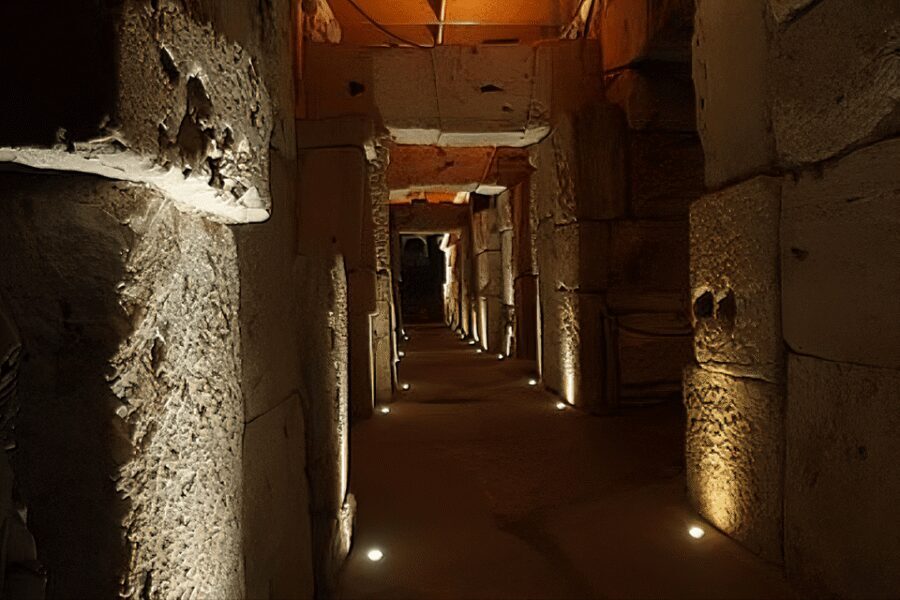 Rome: Colosseum Underground and Arena Floor Tour - Provider note: Buonjorno Tours Ltd