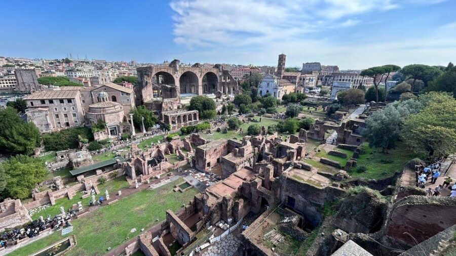 Rome: Colosseum Underground, Forum and Palatine Hill Private - Who This Tour Fits Best