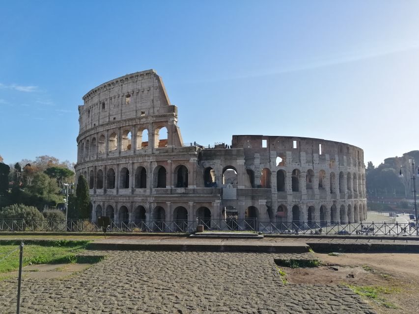 Rome: Colosseum, Underground & Roman Forum Private Tour - The Colosseum underground: the part most people miss