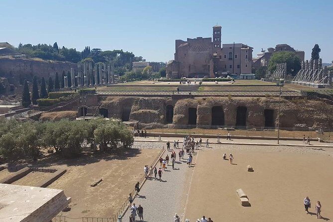 Rome Full Day Tour: Colosseum and Vatican Museums - Entering the Colosseum: what you’ll notice in your one-hour window