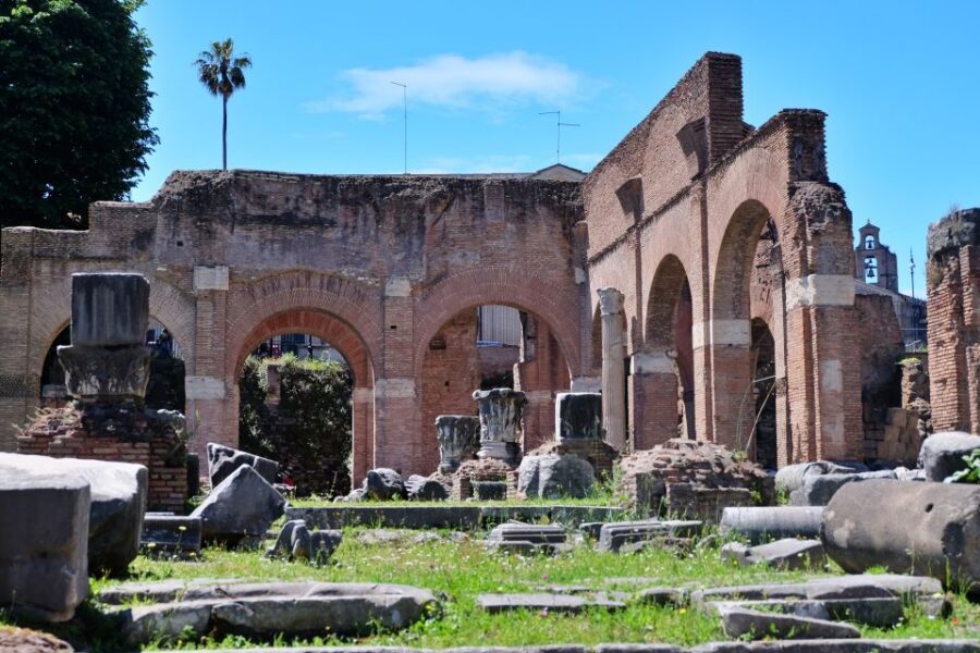 Rome: Introduction to the Colosseum and Ancient City Tour - Palatine Hill and the Roman Forum: Views Plus Layers