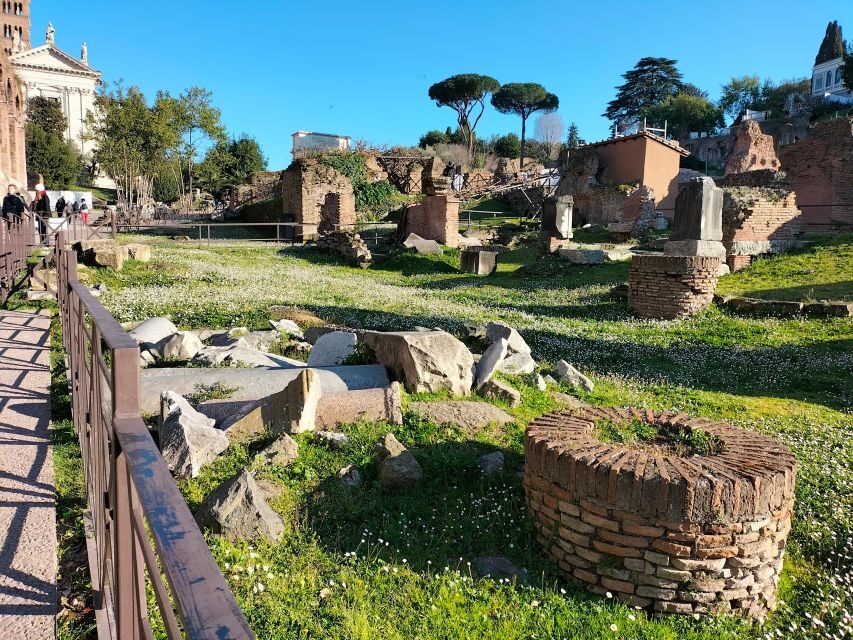 Rome: Roman Forum and Palatine Hill Licensed Guided Tour - Palatine Hill: Panoramas Plus the Story of Imperial Living