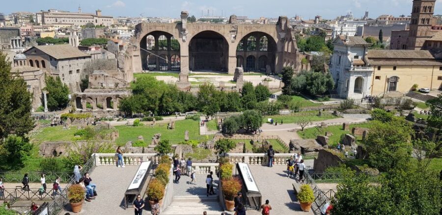 Rome: Small-Group Colosseum, Roman Forum & Palatine Hill - Palatine Hill: origins, imperial palaces, and the best “wow” angles