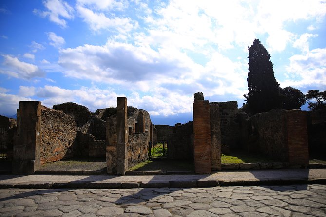 Rome to Pompeii & Herculaneum Trip with Hotel Pickup & Skip-the-line Tickets - The art historian effect: what changes when someone frames the ruins