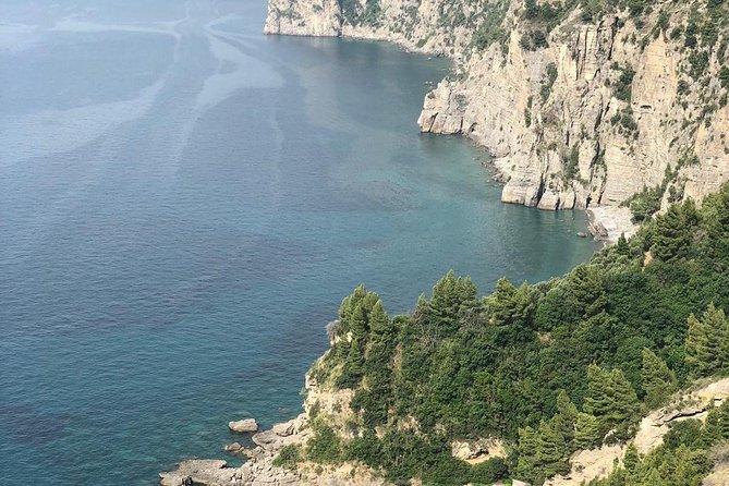 Rome to Pompeii & Positano Day Trip with Hotel Pick Up & Skip The Line Tickets - Price and Value: What You’re Paying For (and What You’re Not)