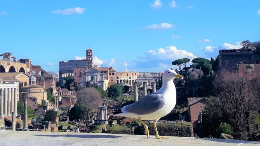 Rome: Vatican & Colosseum Experience with Lunch & Transfers - Lunch in Rome: a real reset between big-ticket sights