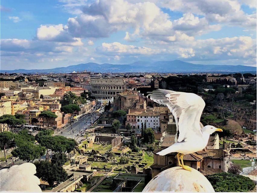 Rome: Vatican, Colosseum & Main Squares Tour w/ Lunch & Car - Vatican Museums and the Sistine Chapel without queue stress