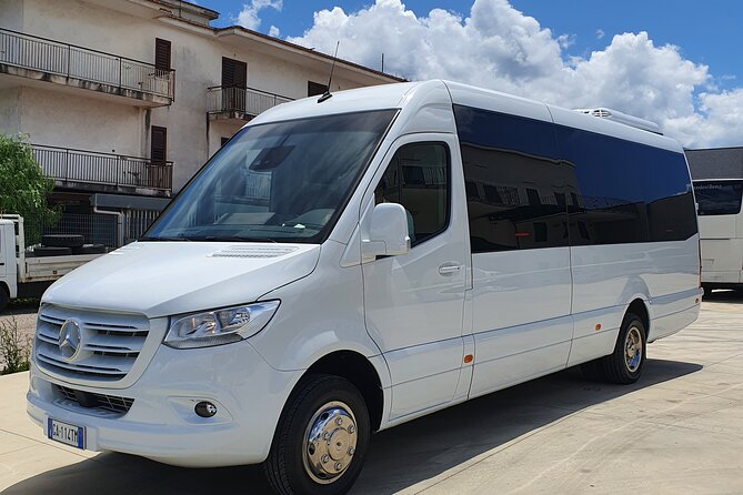 Round-Trip Shuttle Transfer from Naples to Pompeii - Pompeii Time: Exploring a World-Class Site at Your Pace