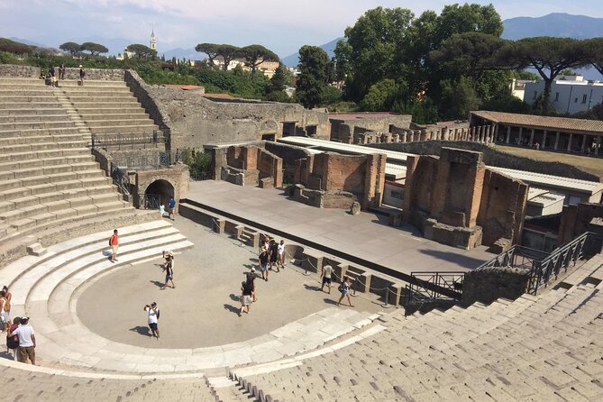 Round-Trip Shuttle Transfer from Naples to Pompeii - Who This Shuttle Works Best For