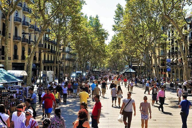 Sagrada Familia & Montserrat Private Tour with Hotel pick-up - Montserrat Road Trip: The Mountain’s Big Personality