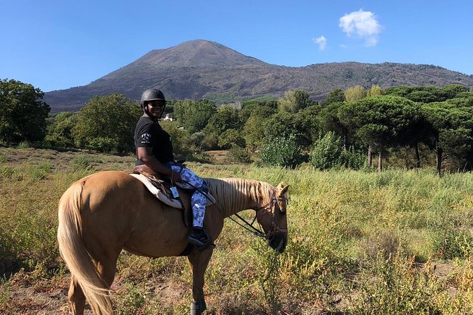 Scenic Horseback Ride, Wine Tasting & Lunch on Mt. Vesuvius - Mt. Vesuvius Horseback Ride: What the Vineyard Time Feels Like
