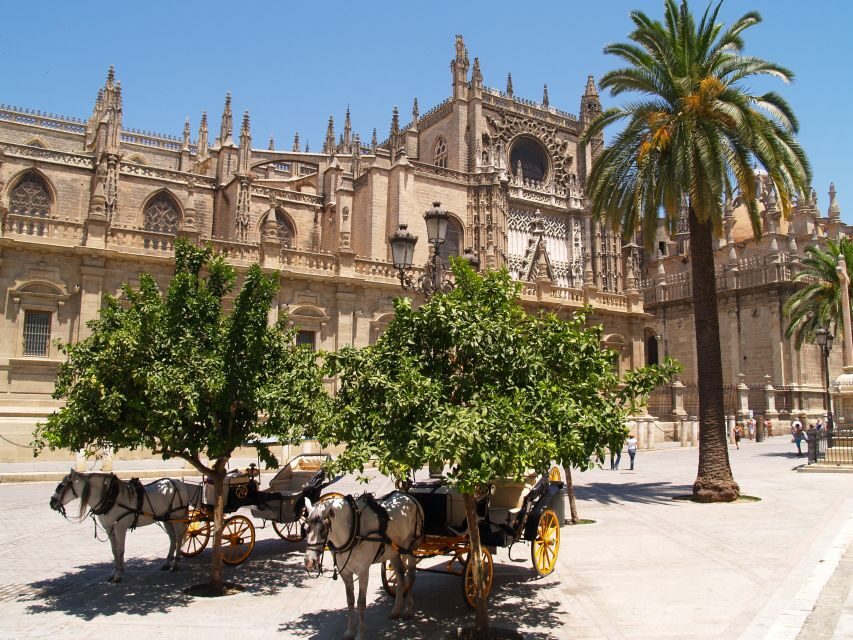 Seville: Alcázar Guided Palace Tour with Priority Access - Best Fit: Who This Tour Works For