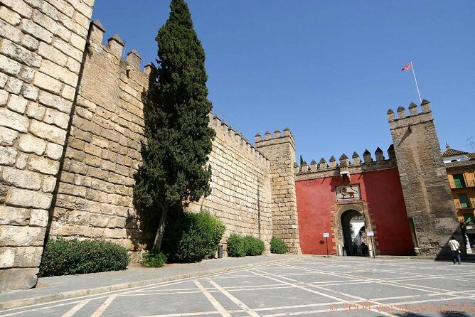 Seville Tour with Alcazar, Cathedral and Giralda from Granada - Who This Seville Day Trip Fits Best