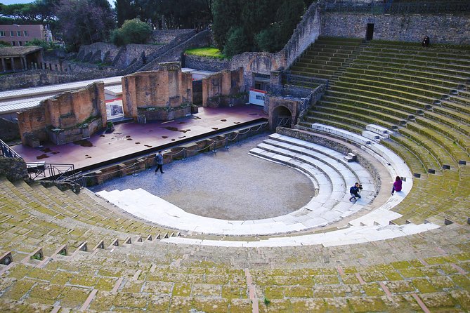 Skip-the-Line Exclusive Private Ancient Pompeii & Vesuvius Volcano Full Day Tour - Transport, pickup, and how the day stays stress-free