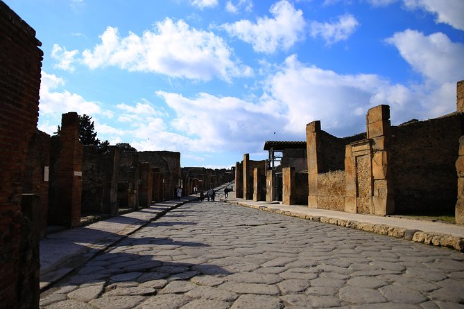 Skip-the-Line Exclusive Private Ancient Pompeii & Vesuvius Volcano Full Day Tour - Lunch is the one missing piece—so don’t ignore it