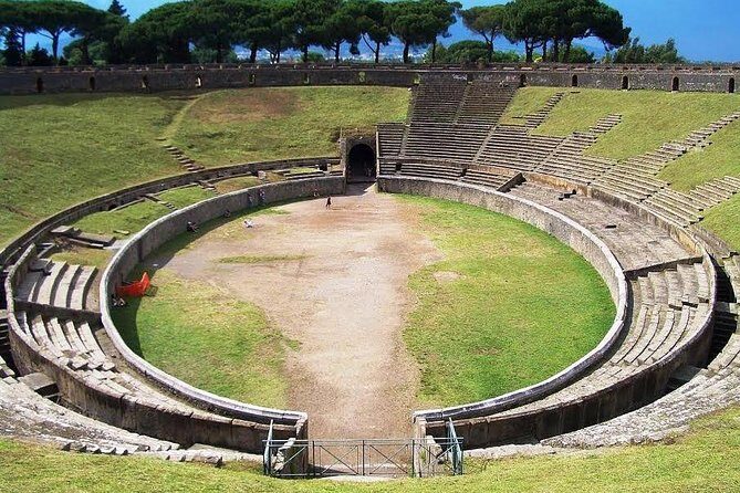 Skip-the-Line Pompeii and Vesuvius Tour - What’s included vs. what you’ll need to handle