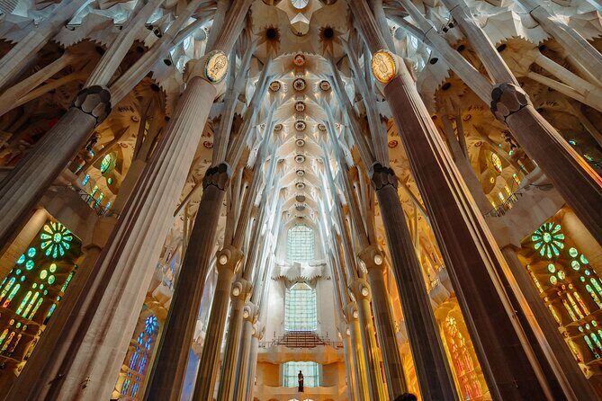 Skip the Line Sagrada Familia Guided Tour & Optional Cava Upgrade - Inside the Basilica: Tree-Column Canopy and Light That Changes Everything